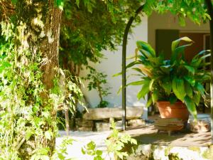 Maisons de vacances Douceur Girondine : photos des chambres