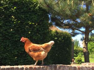 Bed and breakfast Zathe De Spieker
