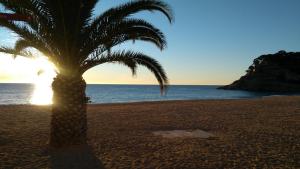 Apartmán carrer enric granados tossa de mar Tossa de Mar Španělsko