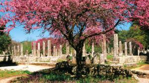 Villa Serenis Achaia Greece