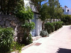 Villa Pitiousa Spetses Greece