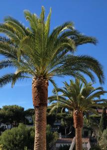 Maisons d'hotes THE ADDRESS CASSIS : photos des chambres