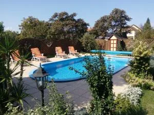 Üttörő út 177 B - 鲍洛通费尼韦什