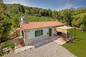 Roinizza in Prtlog (Haus für 4-5 Personen) - Hrvatini