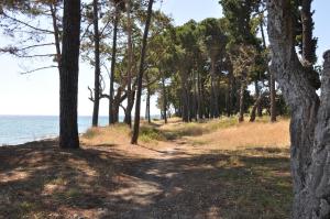 Appart'hotels Sole e Mare : photos des chambres