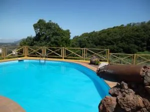 Naturacanaria - Flor de mundo - Мойя