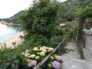 All about view Agios Ioannis Papa Nero Pelion Greece