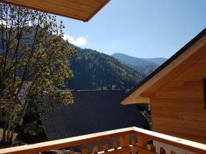 Chalets Chalet Amuse : photos des chambres