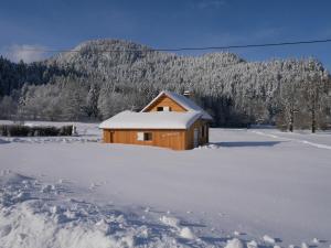 Chalets Chalet pour amoureux de la nature avec vue sur le lac de Retournemer : photos des chambres