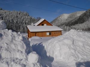 Chalets Chalet pour amoureux de la nature avec vue sur le lac de Retournemer : photos des chambres