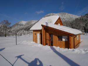 Chalets Chalet pour amoureux de la nature avec vue sur le lac de Retournemer : photos des chambres