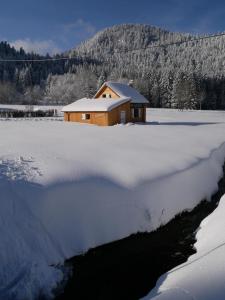 Chalets Chalet pour amoureux de la nature avec vue sur le lac de Retournemer : photos des chambres