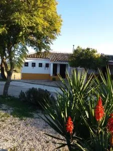 La Jaima - Prado del Rey