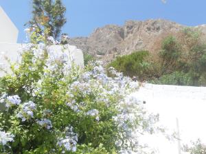 Villa Ostria Santorini Greece