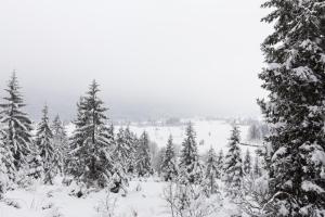 Holiday Home Kuća za odmor LEA - Ravna Gora