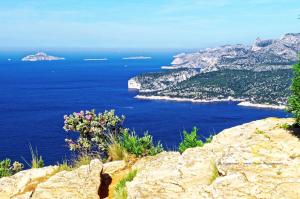 Maisons d'hotes THE ADDRESS CASSIS : photos des chambres
