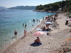Apartments Radaic