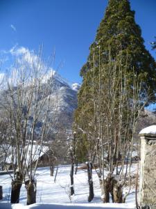 B&B / Chambres d'hotes Maison familiale des Gueyniers : photos des chambres