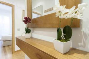 The Rentals Collection | Boga