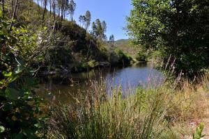 REFÚGIO DO RAPOSOCASA DA RIBEIRA (AGROTURISMO)