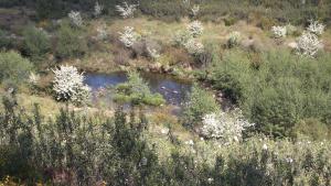 REFÚGIO DO RAPOSOCASA DA RIBEIRA (AGROTURISMO)
