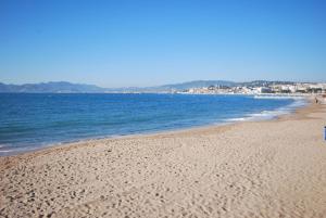 Appartements Appartement 1 Chambre Petit Juas : photos des chambres