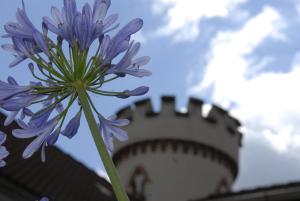 Pension Kastanienhof