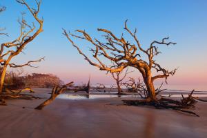 371 Riverview Drive, Jekyll Island, Georgia, 31527, United States.