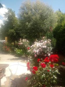 Las Rosas Alojamiento Turistico