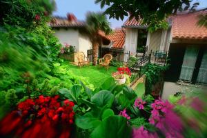 Green Oasis Family Apartments