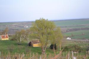 Kleines Kellerstöckl Nimm 2