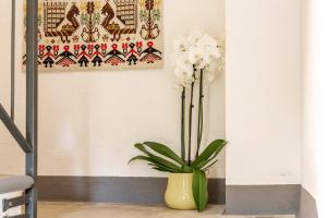 Domu Ala - ByNos Homes img21