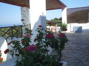 Ilis Villas Ilia Greece