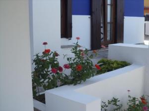 Ilis Villas Ilia Greece