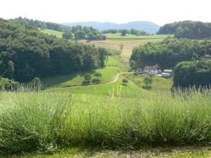 Gîte la Sapinière - 拉巴罗什