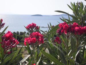 Rose's House Antiparos Greece