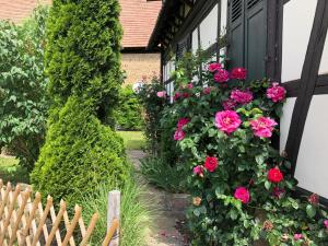 Maisons de vacances La Stube de Marinette 5 etoiles : photos des chambres