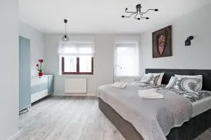 Ludwinowska11 Apartments - 威利兹卡