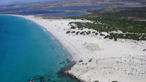 Domos Le Due Tuie img52