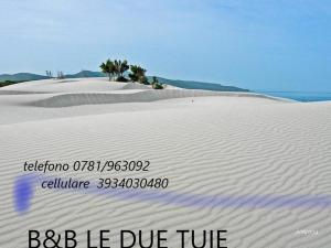 Domos Le Due Tuie img51