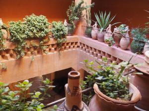 Casbah dhôte La Jeanne Tourisme Ecologique