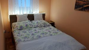 Fischer Apartman 2