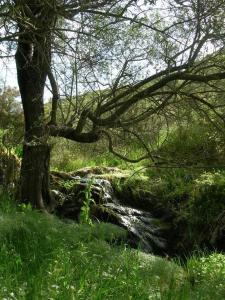 Agriturismo Battaglia img19