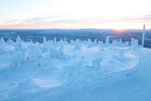 Holiday Club Salla Superior Apartments