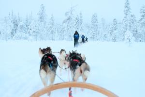 Holiday Club Salla Superior Apartments