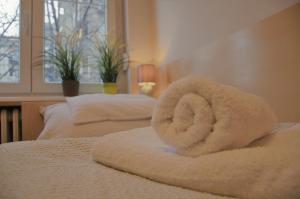 Spacious 2-bedroom apartment with luxury feel