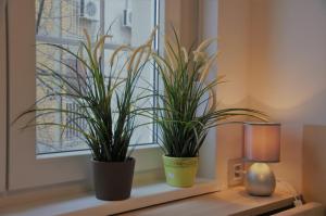 Spacious 2-bedroom apartment with luxury feel