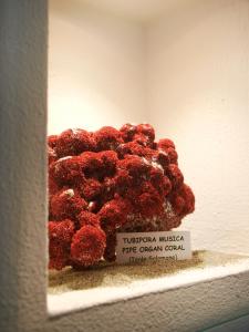 Hotel Garnì Corallo