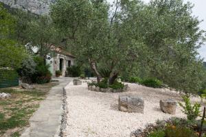 Holiday house Jano in Makarska, jacuzzi