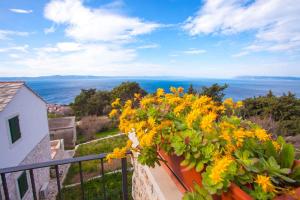 Villa Marta in Tucepi, private pool